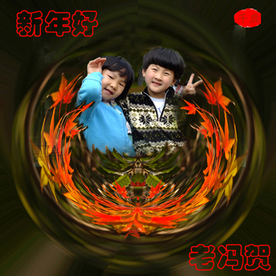月季花