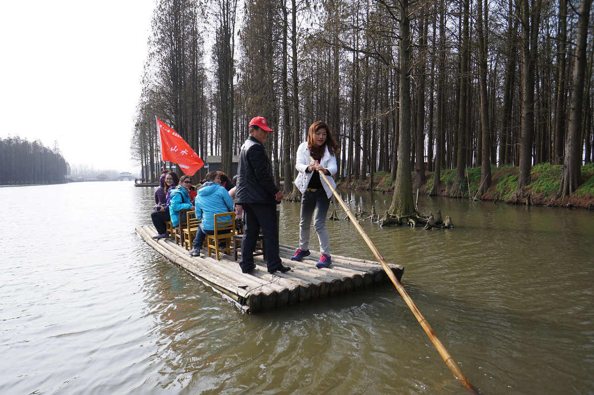 水上森林