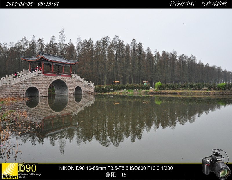 竹筏林中行 鸟在耳边鸣－－江苏兴华李中水上森林