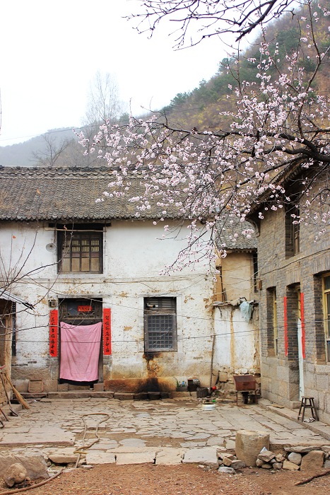 随手拈花