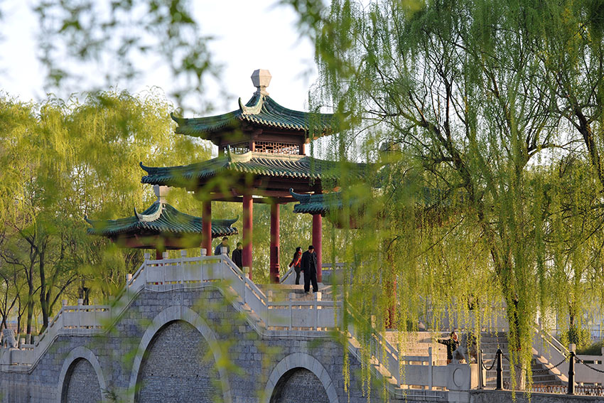 新蕾春色
