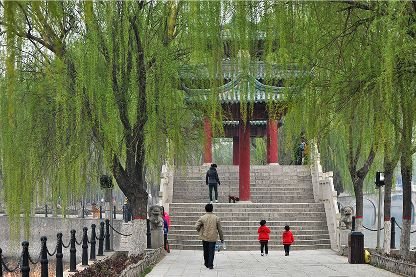 新蕾春色