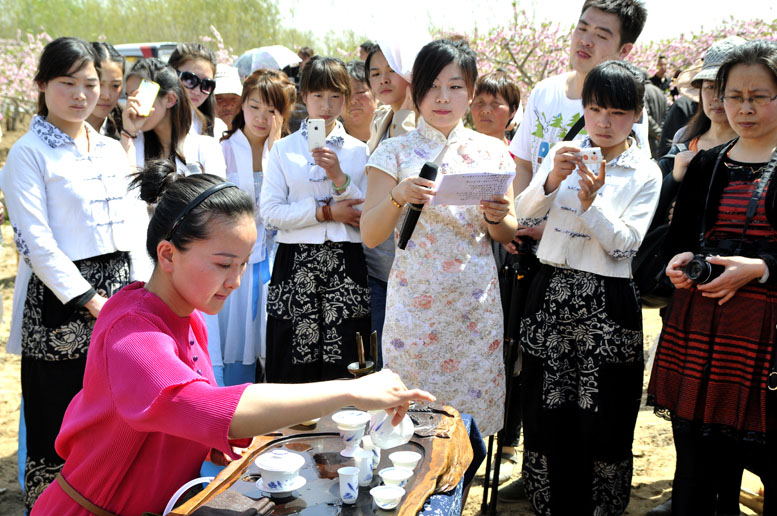 豆公观花
