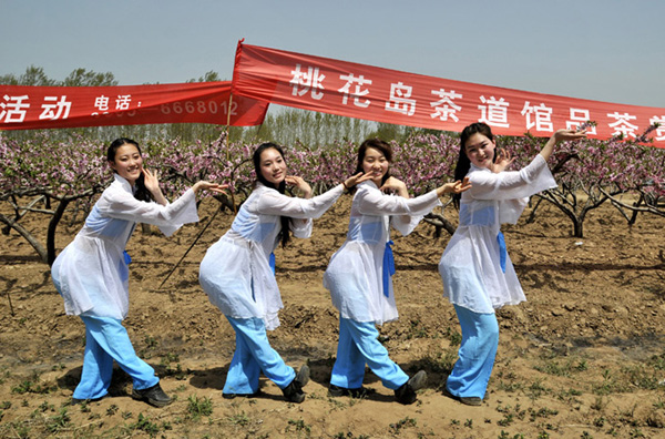 豆公观花