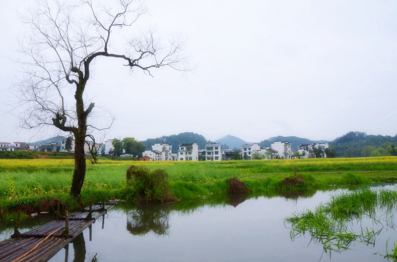 江南小景致