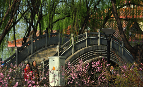 新蕾小景（城上城）