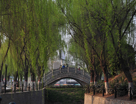 新蕾小景（城上城）