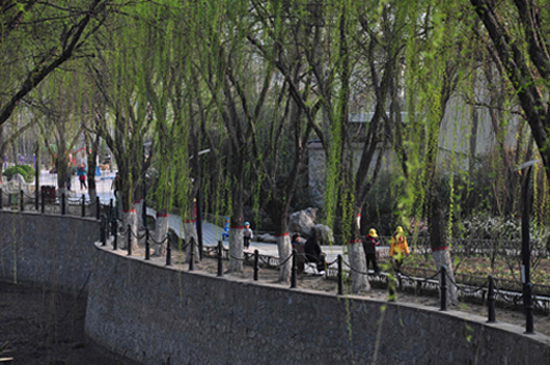 新蕾小景（城上城）