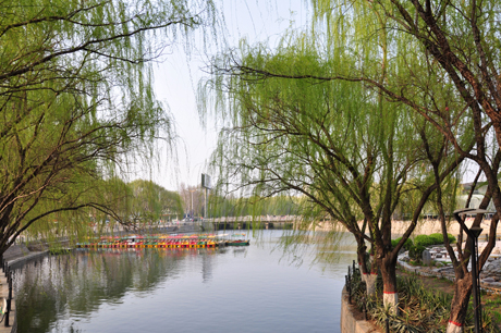 新蕾小景（城上城）