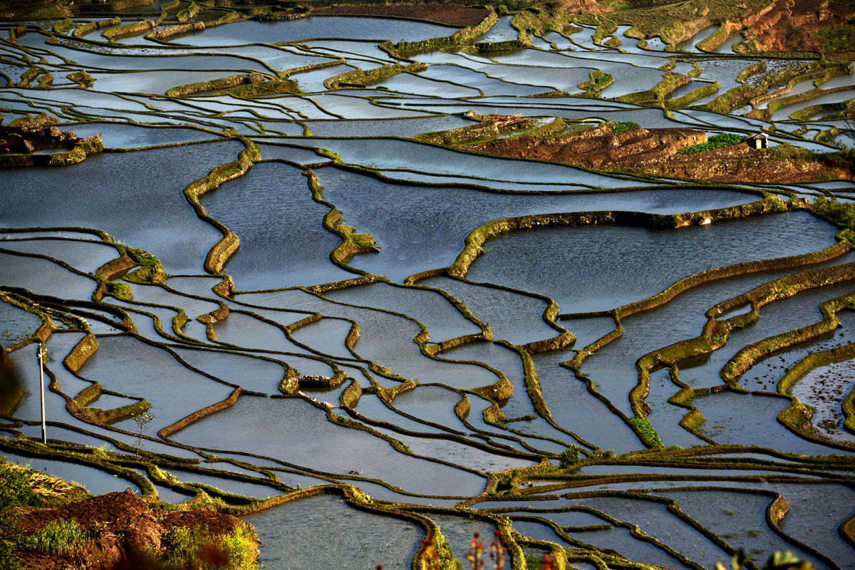 美丽的梯田