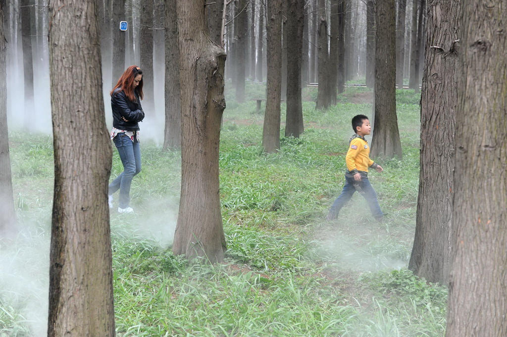 兴华景美醉游人