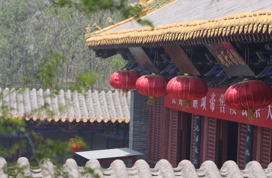 三年之前的二帝陵游