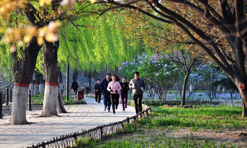 新蕾春色