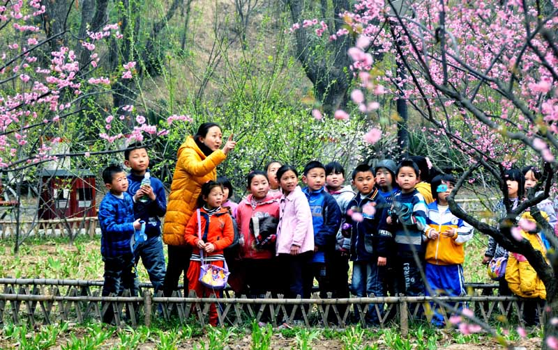 新蕾春色