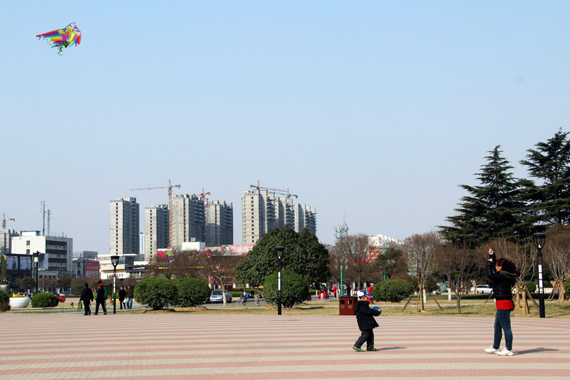 新蕾春色