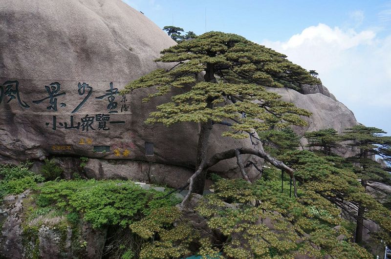 云雾黄山[原创]