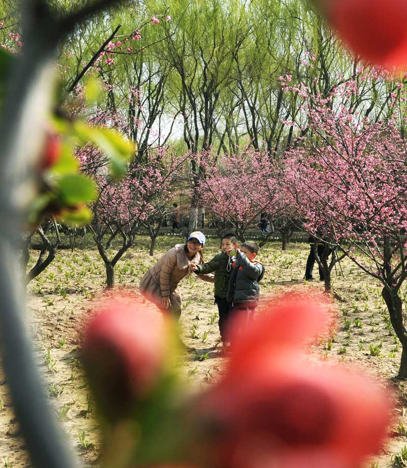 新蕾春色