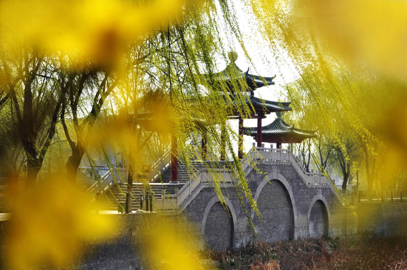新蕾春色