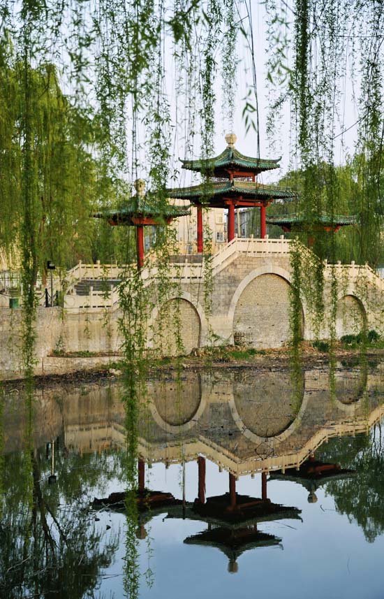 新蕾春色