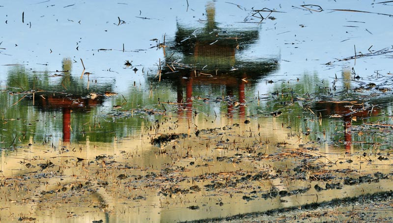 新蕾春色
