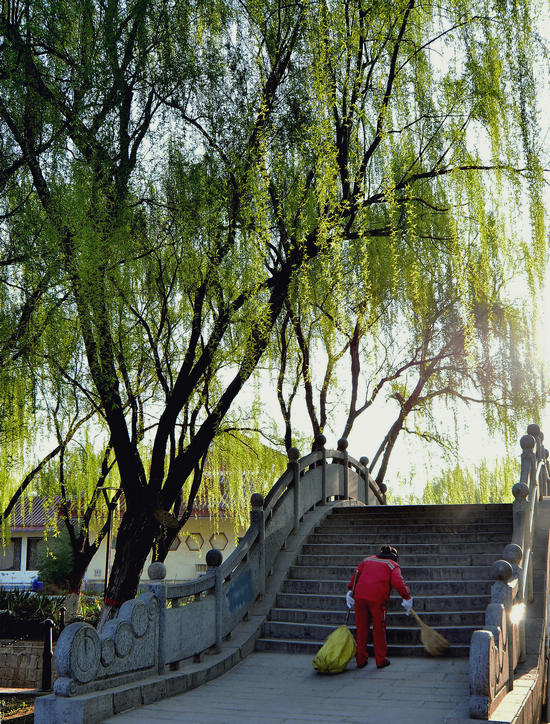 春染新蕾