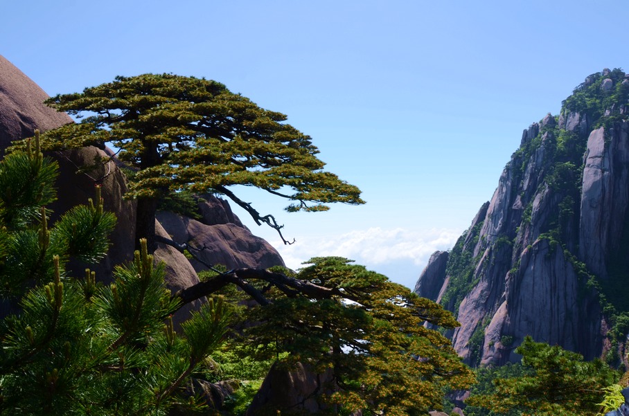 黄山一偶