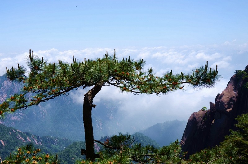 黄山一偶