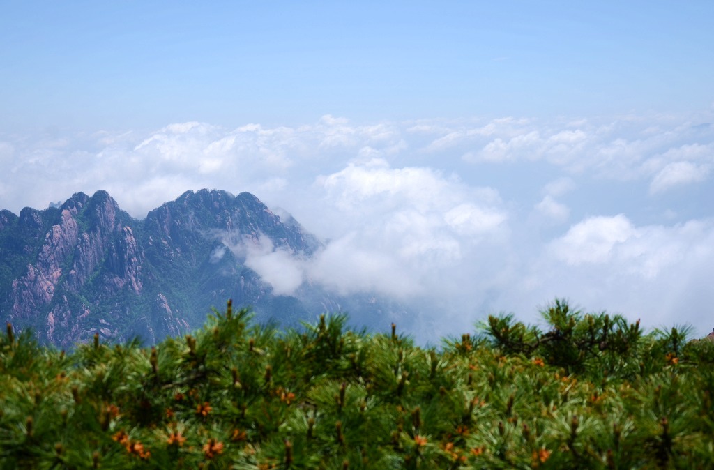 黄山一偶