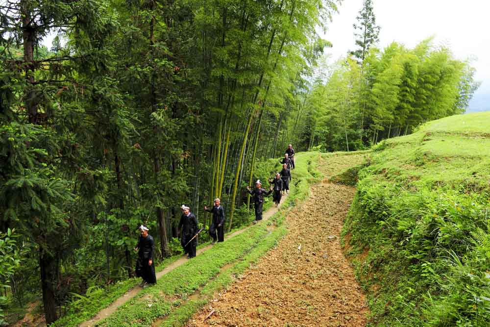 黔东南釆风