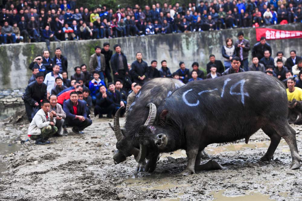 黔东南釆风