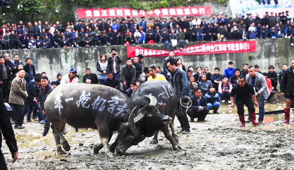 黔东南釆风