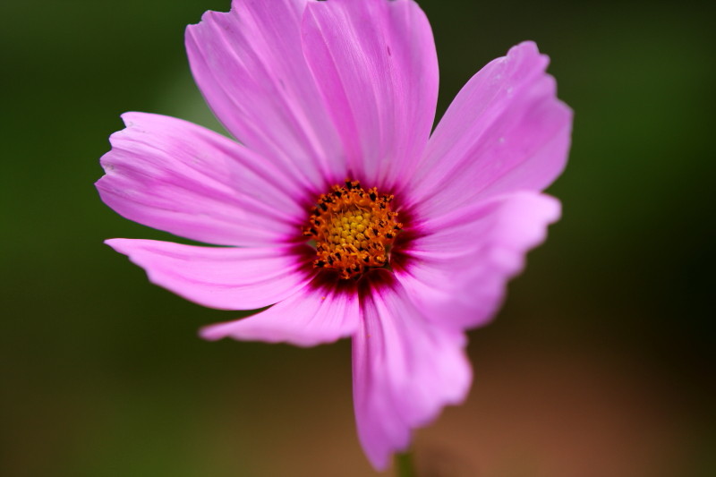 昔日杂片一组（1）