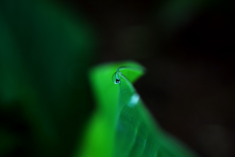 昔日杂片一组（1）