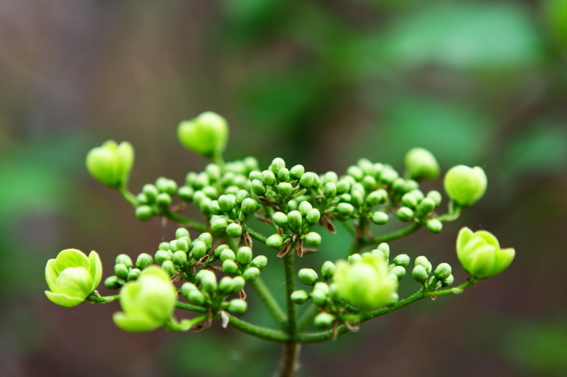 昔日杂片一组（1）
