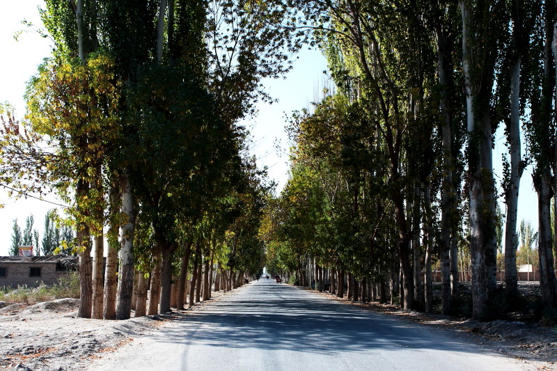 2009南疆游记