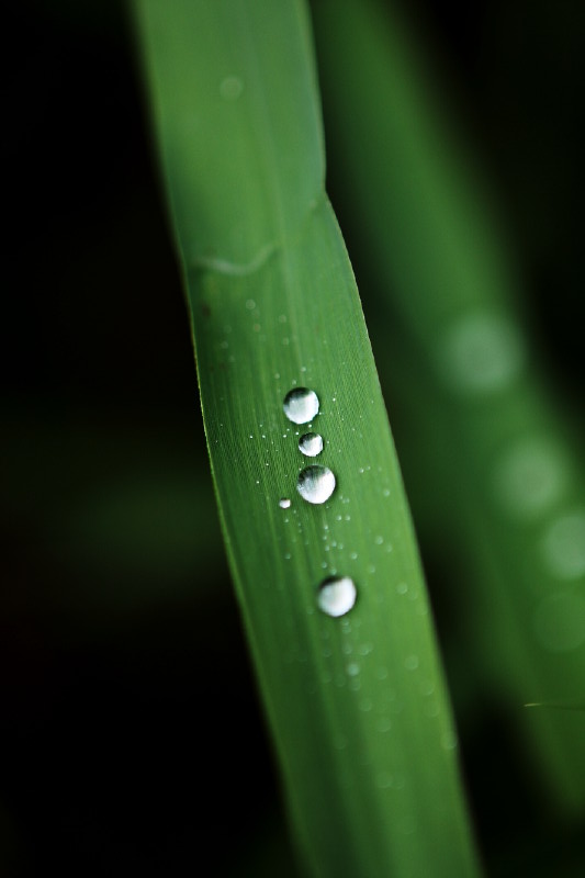 昔日杂片一组（1）