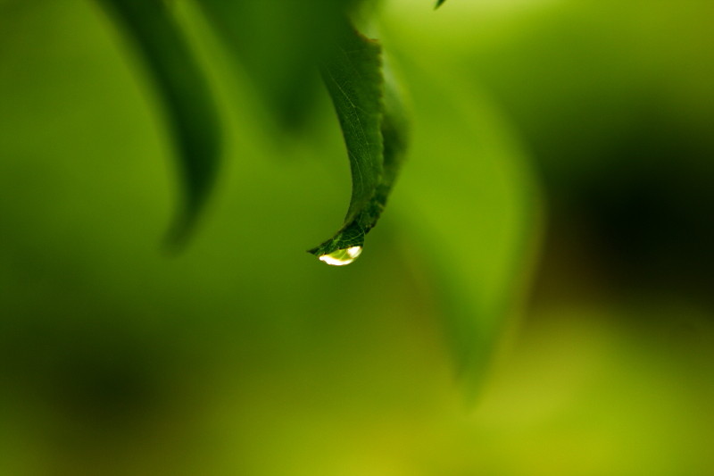 昔日杂片一组（1）