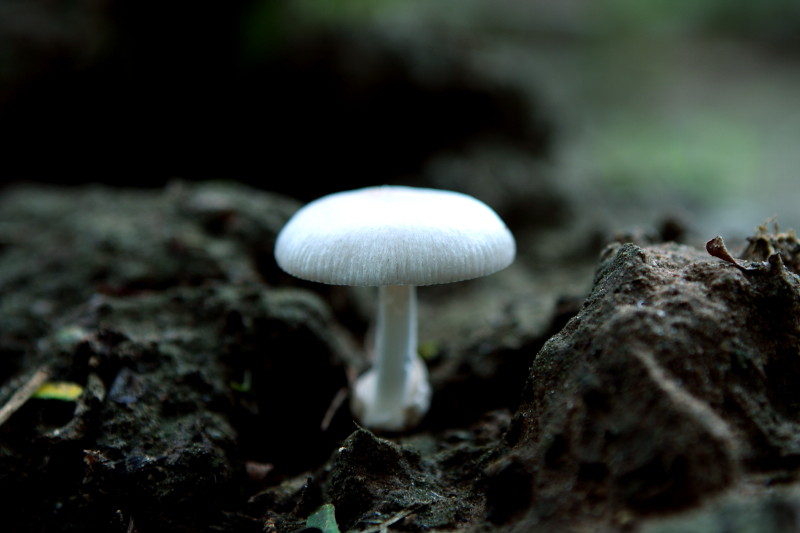 昔日杂片一组（2）