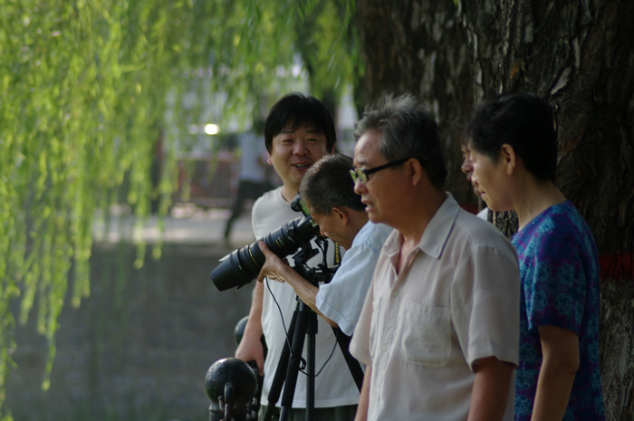 公园随拍人物