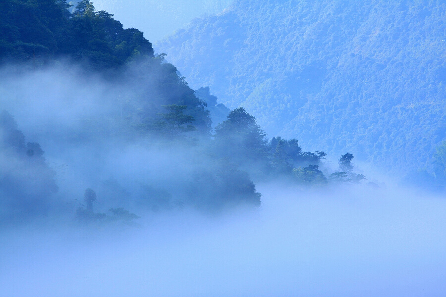 梦幻小东江