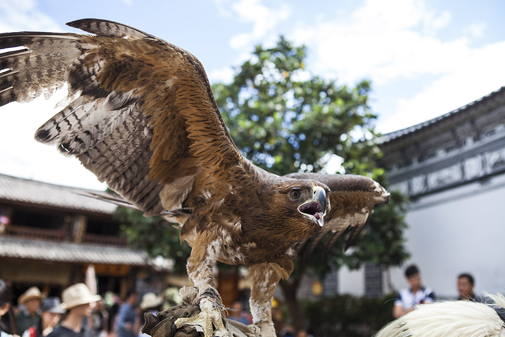 丽江印象