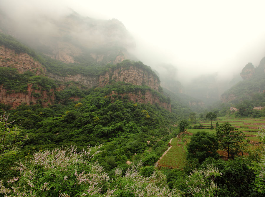 峡谷印象------夏的味道