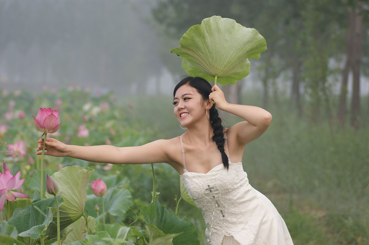 荷园　美女
