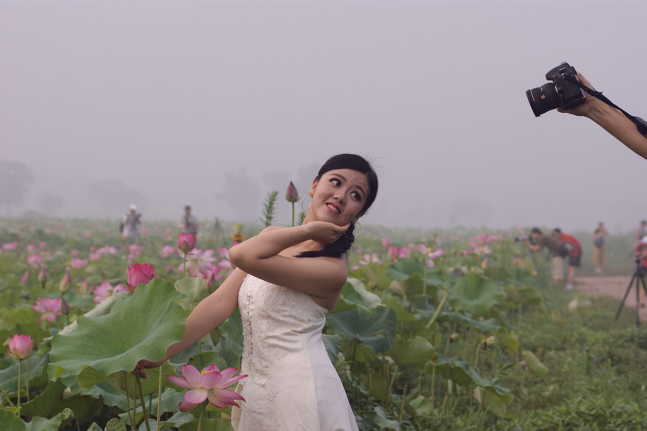 荷园　美女