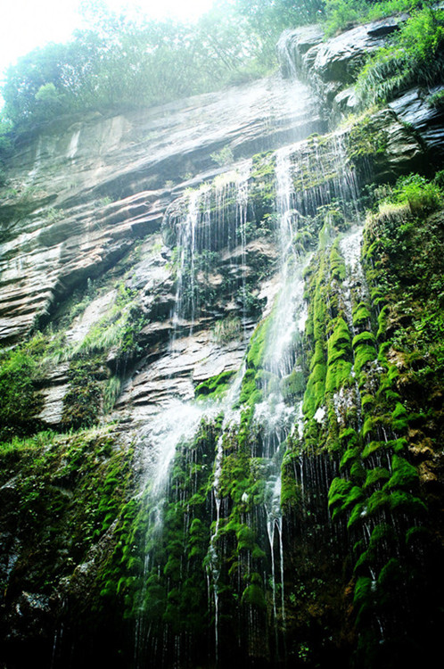 山水云台