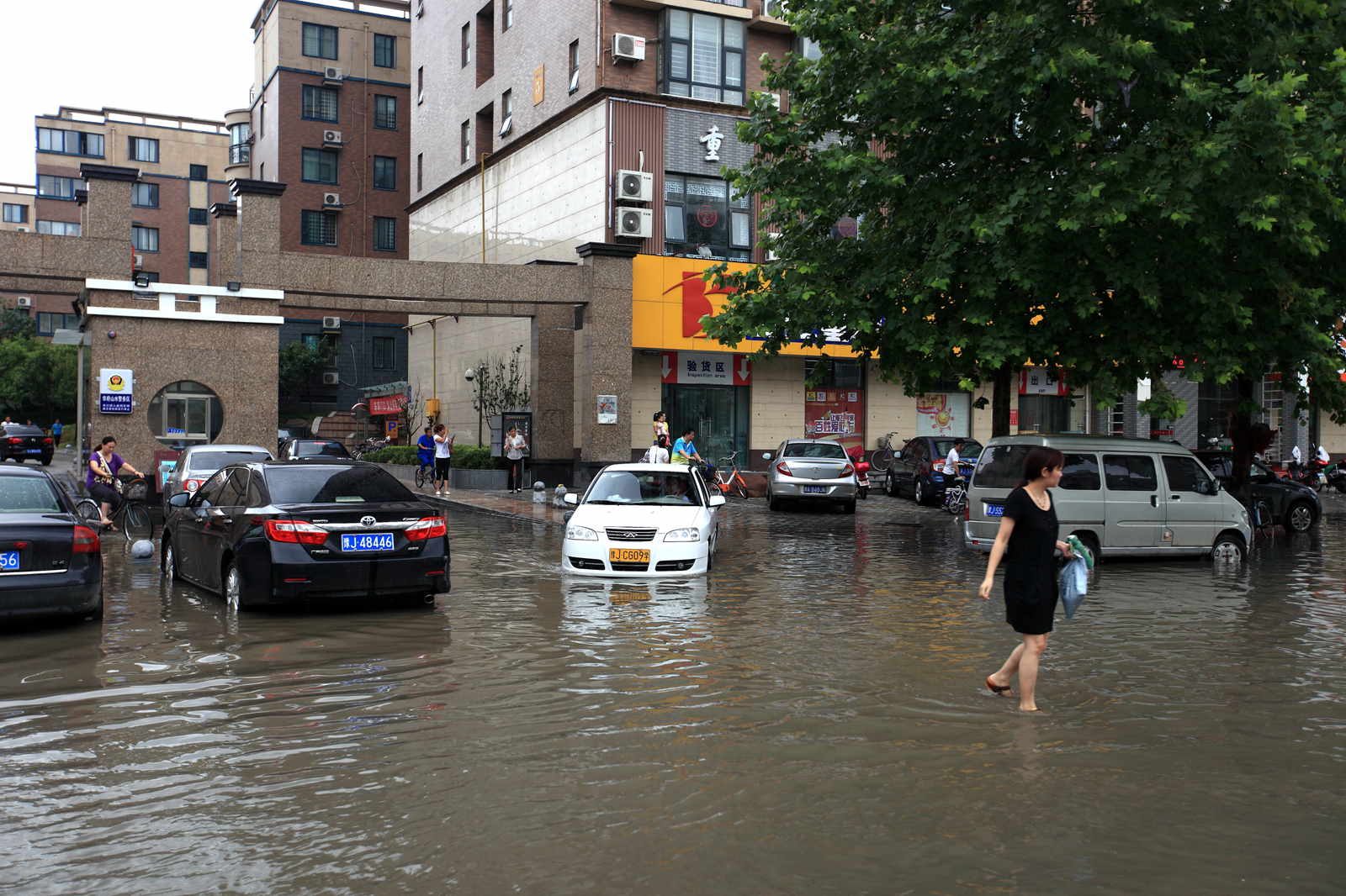 雨后濮阳