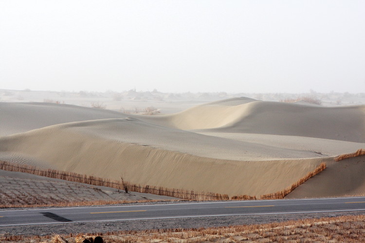 沙漠公路上