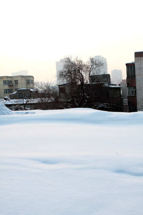 乌鲁木齐鲤鱼山雪景