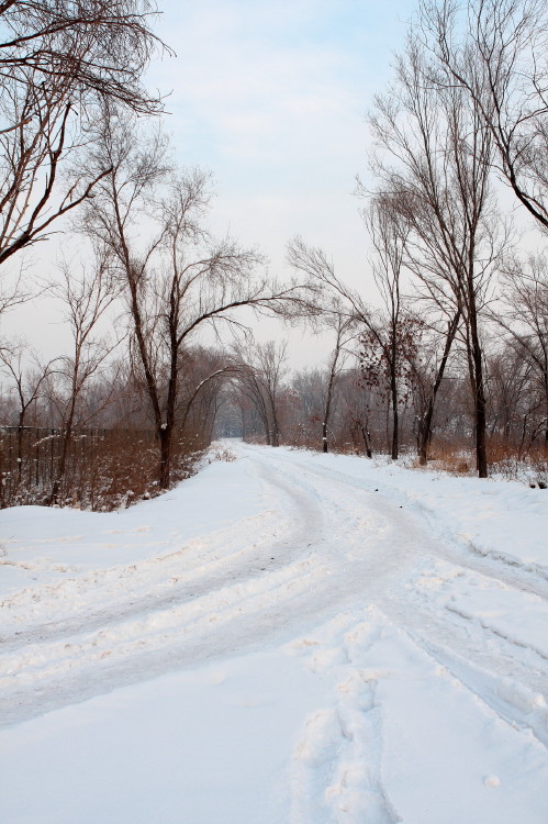 乌鲁木齐鲤鱼山雪景