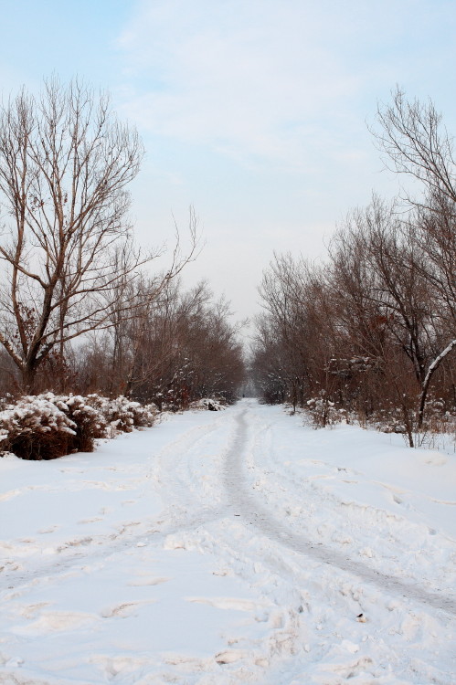 乌鲁木齐鲤鱼山雪景